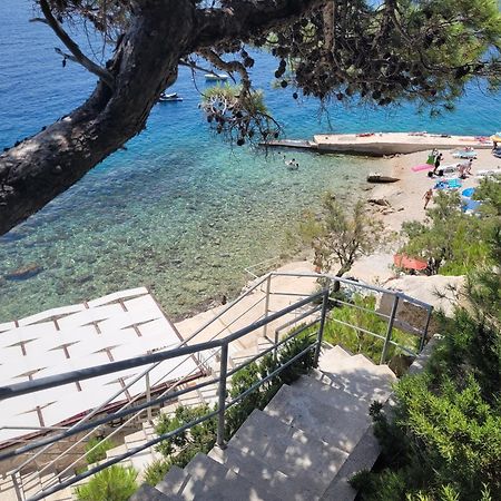 Luxury Apartments Villa Ruzmarina With New Heated Infinity Pool And Lounge Area Marusici  Buitenkant foto