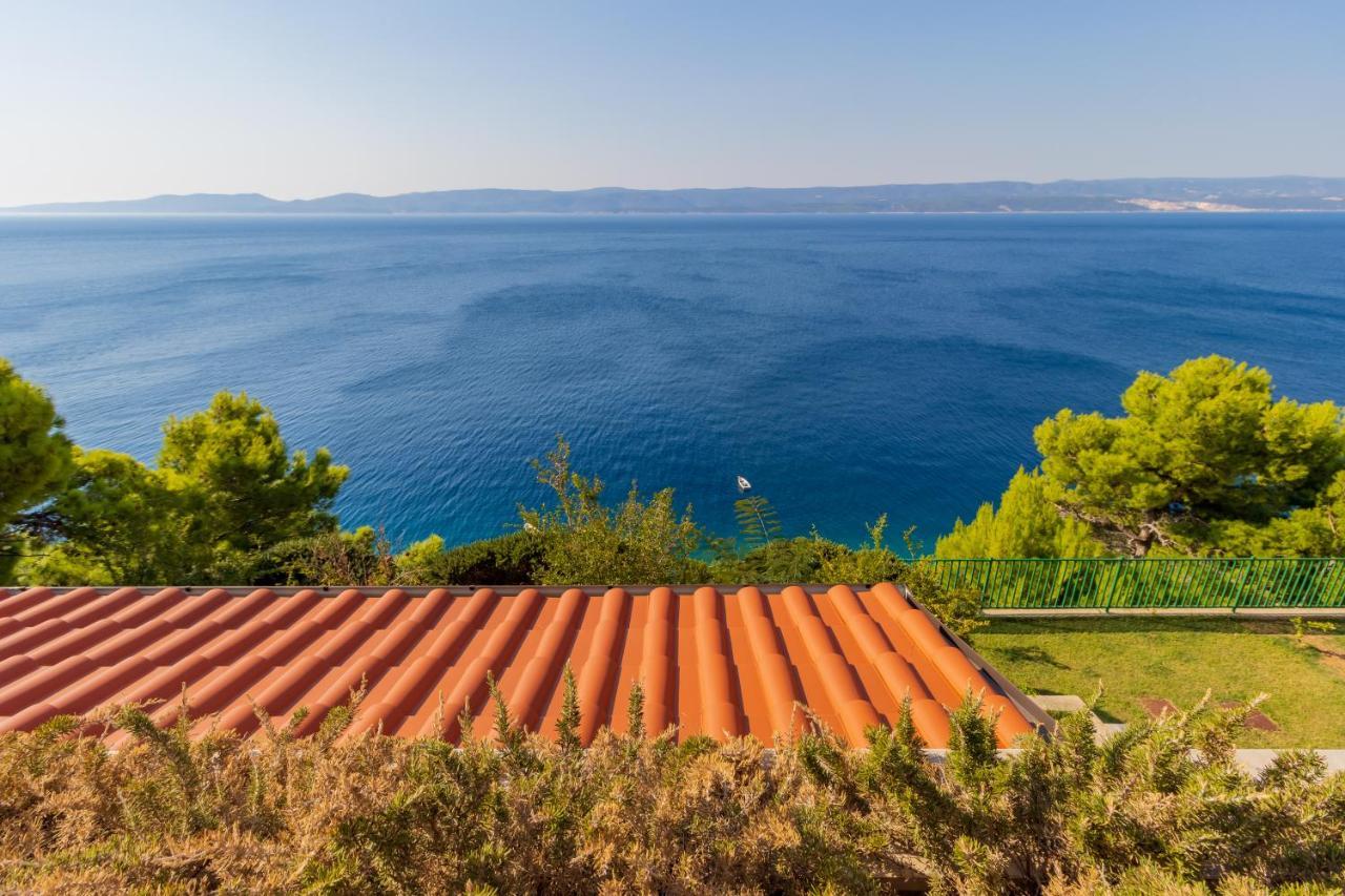 Luxury Apartments Villa Ruzmarina With New Heated Infinity Pool And Lounge Area Marusici  Buitenkant foto